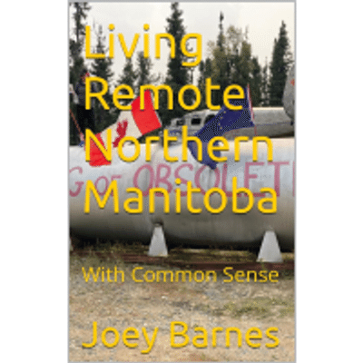 eBook Living Remote With Common Sense (English Edition)